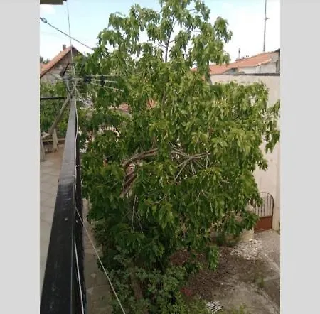 Christos Iiii ゲストハウス